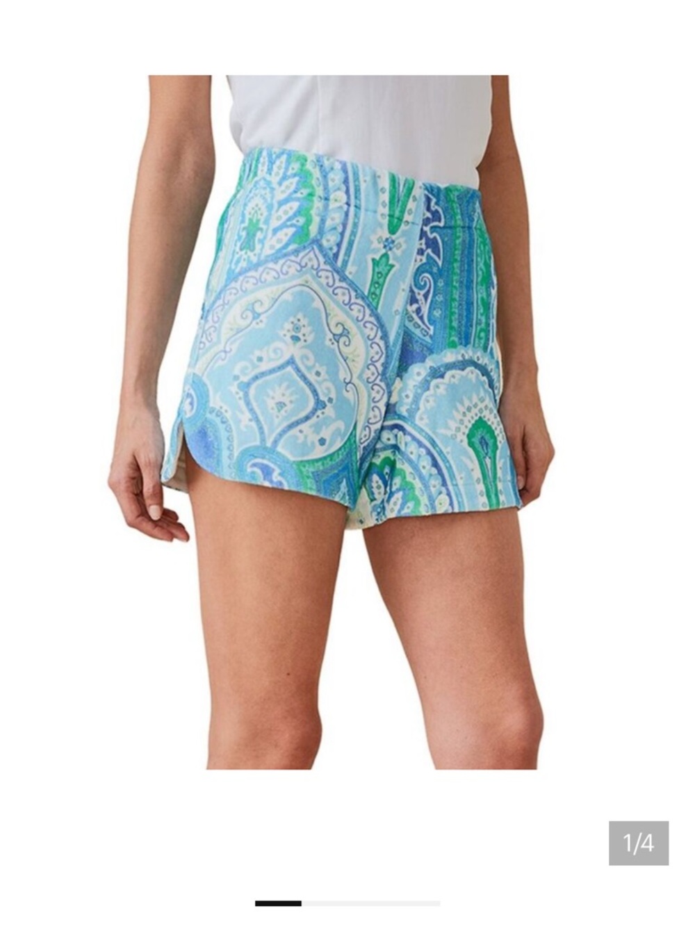 J. McLaughlin Blue & Green terry cloth Paisley arlo Shorts small